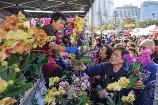 Sắc xuân tỏa khắp muôn nơi