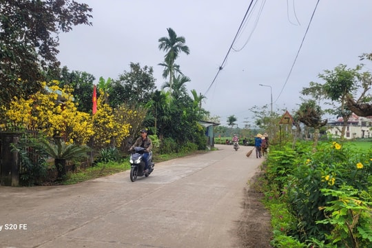 Mùa xuân chái bếp thơm lừng