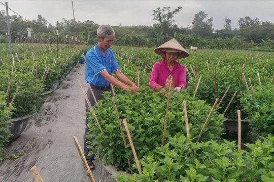 Giải ngân vốn tín dụng chính sách phục vụ sản xuất ngay từ đầu năm 2026