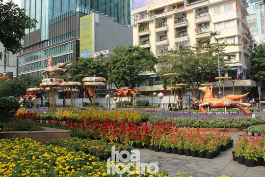 TP.HCM: Ngắm đường hoa Nguyễn Huệ Tết Bính Ngọ 2026 trước giờ khai mạc