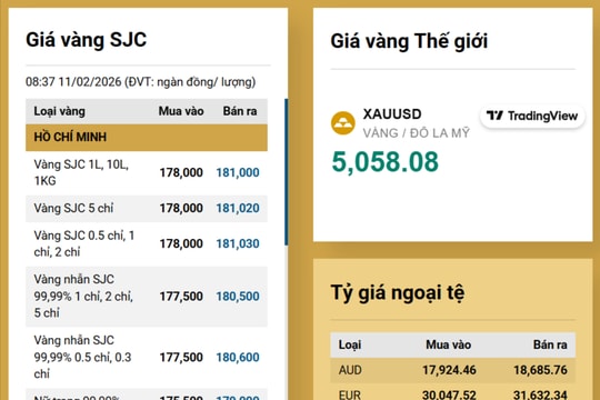 Giá vàng cập nhật mới nhất 11/2/2026: Bảng giá vàng miếng SJC, giá vàng nhẫn, vàng thế giới