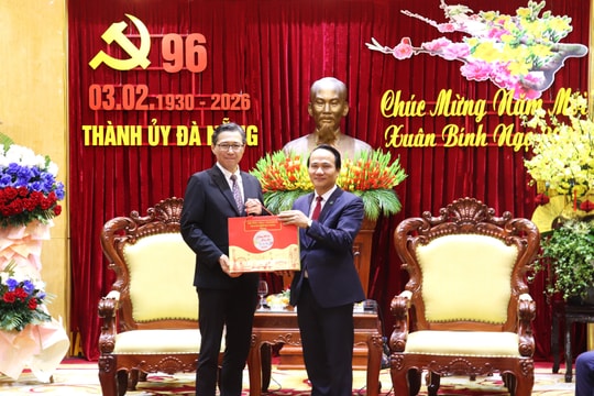 Consuls General of foreign countries in Da Nang pay pre-Tet visits to city leaders
