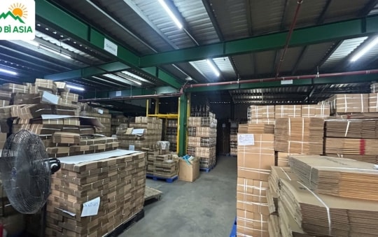 Túi giấy đựng quà tặng: gia tăng giá trị quà tặng và xu hướng bao bì bền vững