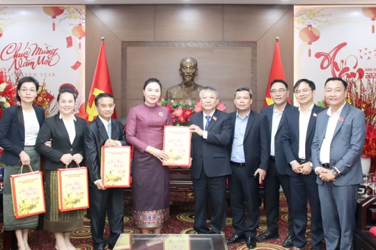 Lãnh đạo thành phố tiếp các đoàn và đến thăm chúc Tết nhân dịp Xuân Bính Ngọ 2026