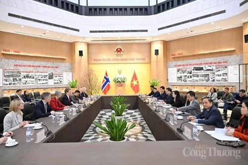 Việt Nam kêu gọi Na Uy đầu tư 136 tỷ USD vào hạ tầng năng lượng tái tạo