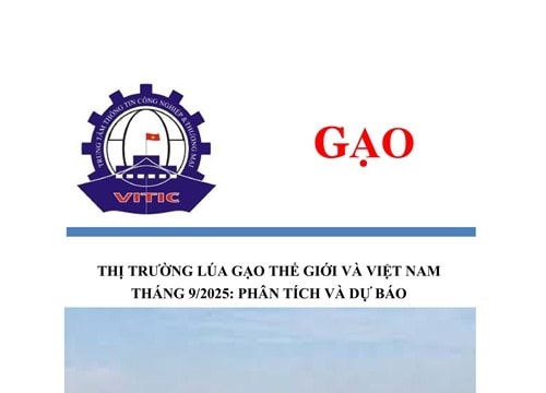 Thị trường lúa gạo thế giới tháng 9/2025: Giá xuất khẩu giảm tại các nước trọng điểm