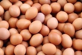 Nhu cầu tiêu thụ trứng tại Pháp năm 2025 chạm mốc kỷ lục 237 quả mỗi người