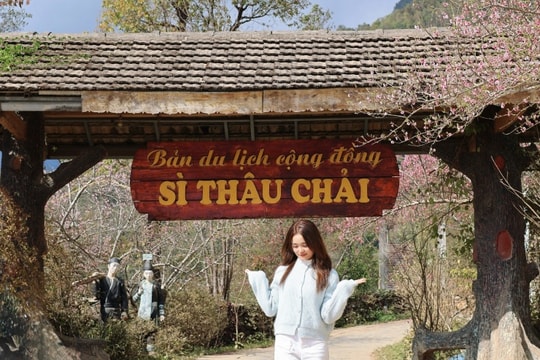 Lai Châu: Khám phá Sì Thâu Chải - bản cổ tích rực rỡ sắc hoa giữa mây ngàn Tây Bắc