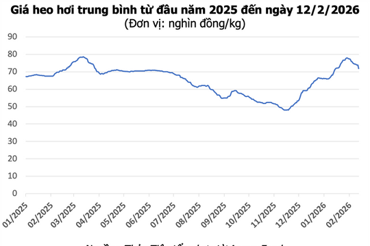 Giá heo hơi hôm nay 12/2: Giảm tới 2.000 đồng/kg, lùi về mốc 71.000 đồng/kg