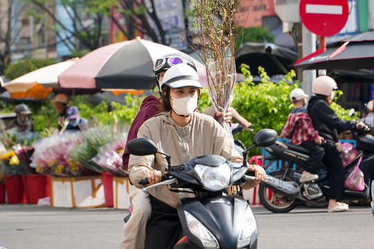 Tất bật mang xuân về nhà
