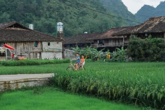5 làng du lịch Việt Nam tốt nhất thế giới: Hành trình trải nghiệm Tết độc đáo