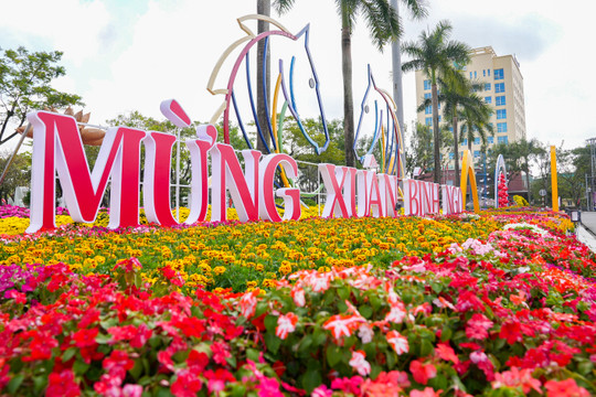 Điểm tin tuần qua từ ngày 9/2 đến 15/2