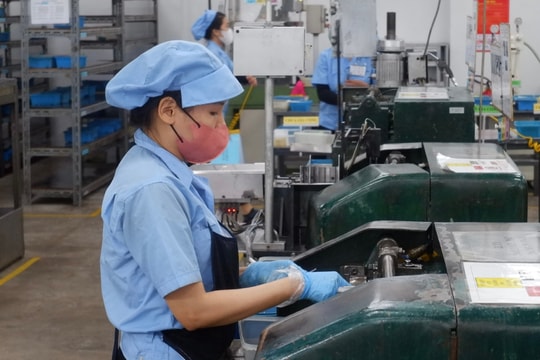 Industrial growth considered as lever for Da Nang's development
