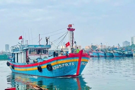 Nhiều chính sách hỗ trợ phát triển thủy sản Đà Nẵng giai đoạn 2026 - 2030