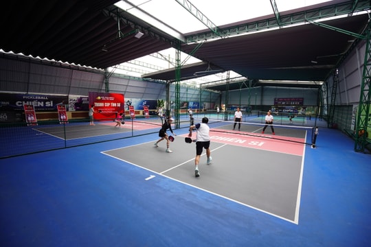 Sôi nổi giải đấu pickleball tranh cúp Tình Sự