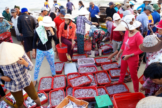 Trợ lực ngư dân khai thác hải sản bền vững