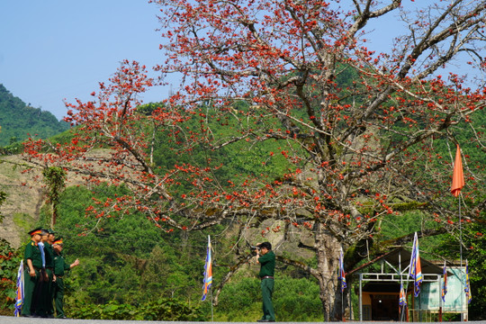 Bến Giằng, mùa hoa gạo nở