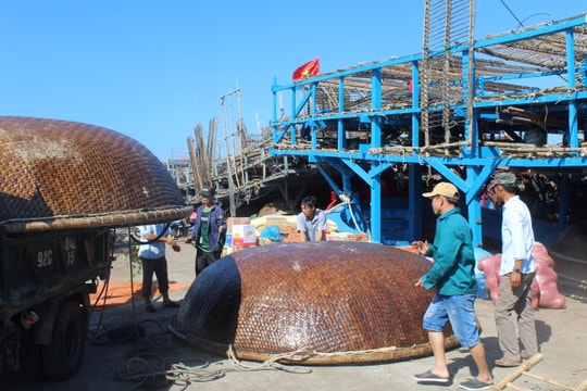 Ngư dân vươn khơi bám biển
