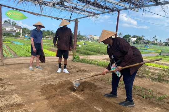 Tra Que Vegetable Village's Cau Bong Festival 2026 draws foreign visitors in Lunar New Year