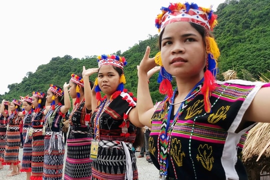Sắc chàm nở hoa trên rừng Trường Sơn