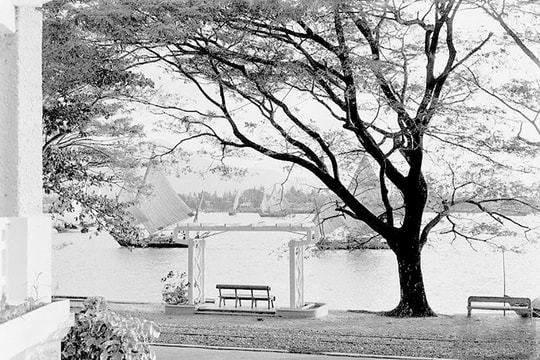 Ngày xuân, góp chuyện sông Hàn