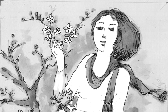 Mai vàng hồi sinh