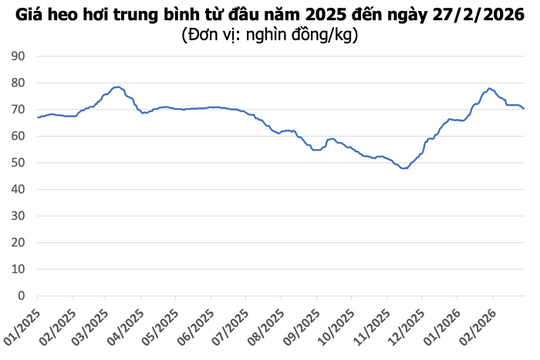 Giá heo hơi hôm nay 27/2: Nhiều tỉnh miền Bắc và miền Trung giảm giá 1.000 đồng/kg