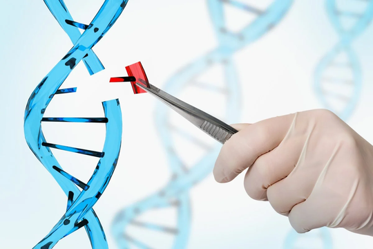 Trung Quốc tạo bước tiến mới sửa lỗi DNA gây tự kỷ