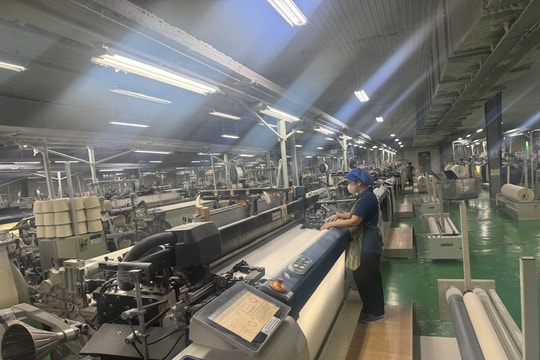 Đầu tư sản xuất xanh phục vụ chiến lược phát triển bền vững