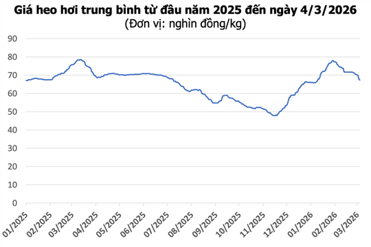 Giá heo hơi ngày 4/3: Miền Bắc và miền Trung giảm sâu, thấp nhất 65.000 đồng/kg