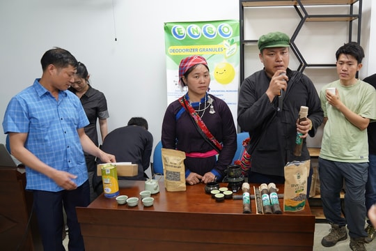 Đà Nẵng tăng cường kết nối hệ sinh thái khởi nghiệp với Lào Cai, Sơn La