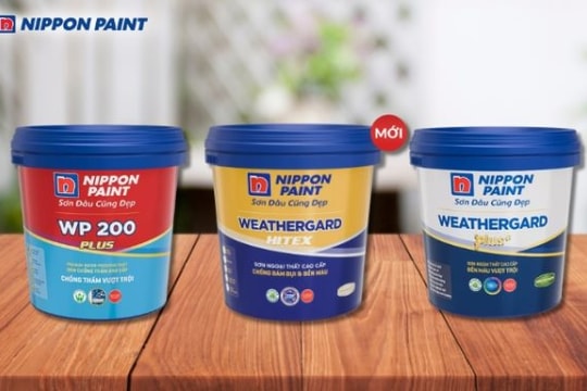 Tầm quan trọng của sơn chống thấm khi thi công nhà ở và công trình ngoài trời