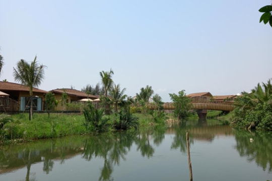 Cồn bãi cuối sông mẹ Thu Bồn