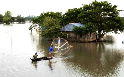Miền thương nhớ quê nhà