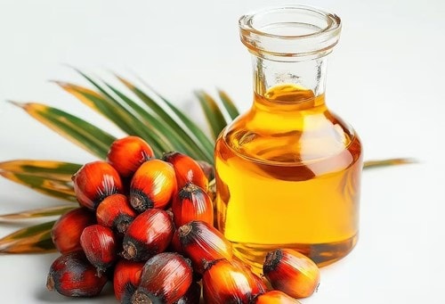 Ấn Độ: Nhập khẩu dầu hướng dương giảm 45,3% trong tháng 2/2026 do giá lập đỉnh