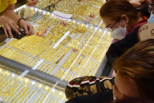 Giá vàng hôm nay 14/3/2026: Giá vàng SJC, BTMC, PNJ, Mi Hồng, giá vàng nhẫn, vàng thế giới
