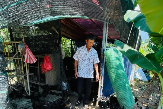 Tái đàn an toàn, kiểm soát dịch bệnh