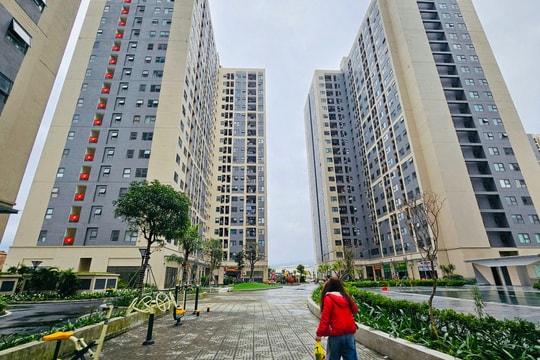 Sở Xây dựng Đà Nẵng ra mắt chuyên mục hướng dẫn thuê, mua nhà ở xã hội