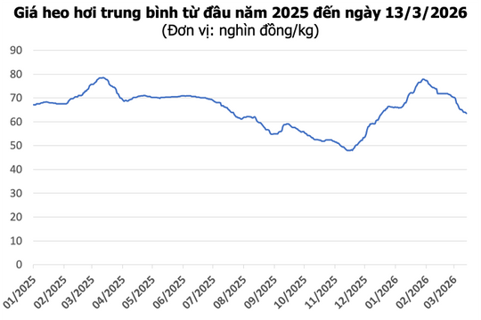 Giá heo hơi hôm nay 13/3: Miền Bắc tăng nhẹ, miền Nam giảm tới 2.000 đồng/kg