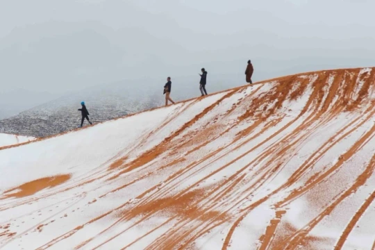 Algeria: Tuyết rơi trắng xóa phủ lên các cồn cát sa mạc Sahara nóng nhất thế giới