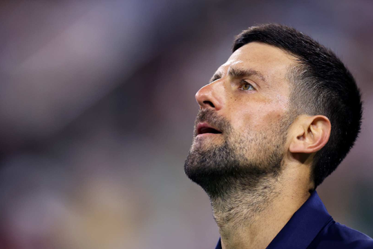 Novak Djokovic rút lui khỏi Miami Open 2026: Nguy cơ văng khỏi Top 3 ATP