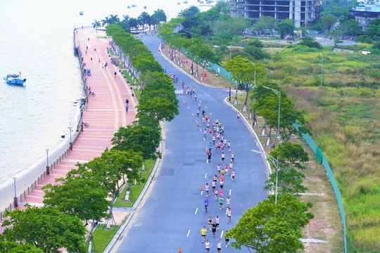 10.000 vận động viên sẽ dự cuộc thi Marathon quốc tế Đà Nẵng năm 2026