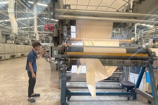 Manufacturing emerges as a key growth driver of Da Nang City