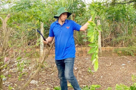 Phát huy vai trò thanh niên