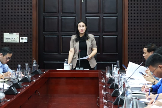 Đà Nẵng tổ chức chuỗi hoạt động kỷ niệm 100 năm ngày mất nhà yêu nước Phan Châu Trinh