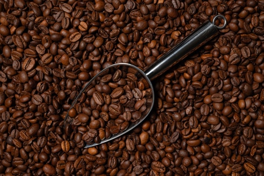 Giá cà phê ngày 20/3: Robusta lập đỉnh mới 3.669 USD, giá nội địa tăng lên 92.700 đồng