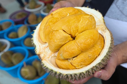 Mạng xã hội biến sầu riêng thành “hộ chiếu” du lịch Malaysia