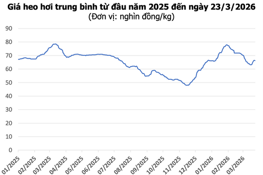 Giá heo hơi hôm nay 23/3: Miền Bắc giảm nhẹ, miền Nam cao nhất 69.000 đồng/kg