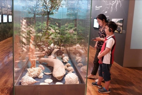 Khi hiện vật kể chuyện
