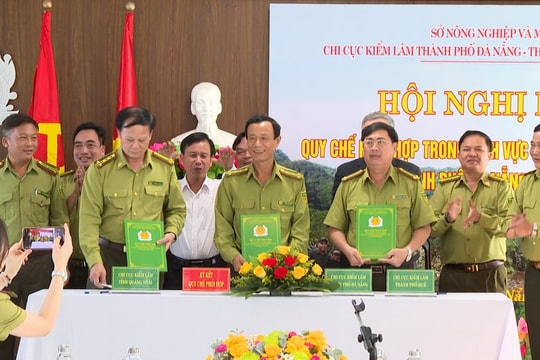 Đà Nẵng phối hợp quản lý, bảo vệ rừng vùng giáp ranh với Huế và Quảng Ngãi